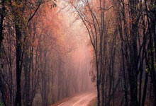 米兰体育app-英国代表团闪耀乒乓球赛场，勇夺金牌的背后故事